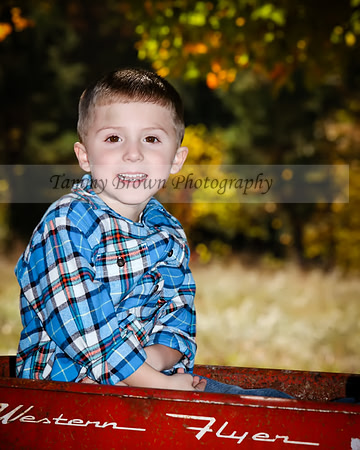 IMG_7417 copydaweb
