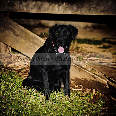 IMG_3014 copytcfcanvasorderweb