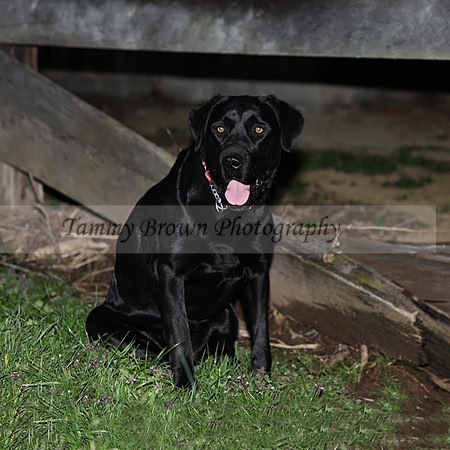 IMG_3014 copytcfcanvasweb
