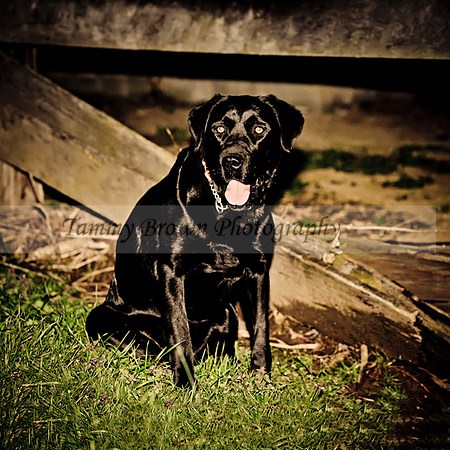 IMG_3014 copyhlcanvasweb