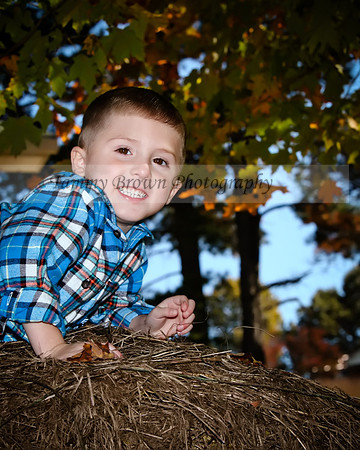 IMG_7463 copydaweb