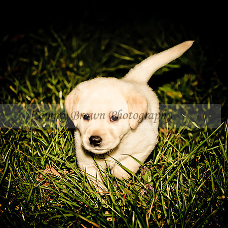 IMG_3030 copyhl2web