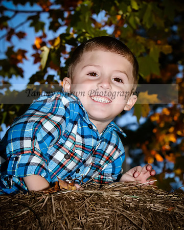 IMG_7465 copydaweb