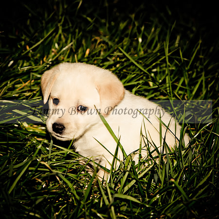 IMG_3027 copyphsm2web