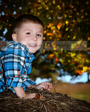 IMG_7462 copydaweb
