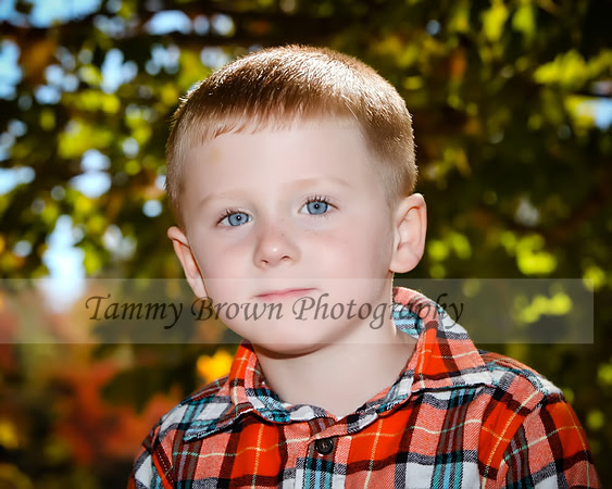 IMG_7433 copydaweb