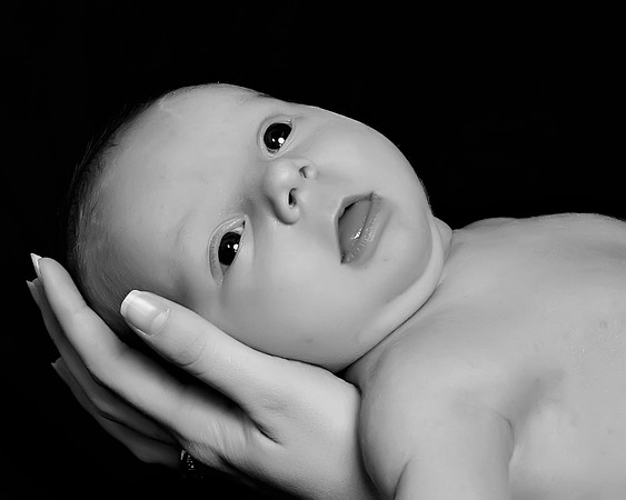 IMG_1734 copybw.jpg