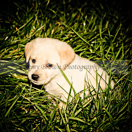 IMG_3027 copyhl2web