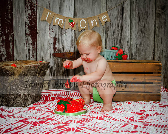 IMG_9939untitled copydaweb