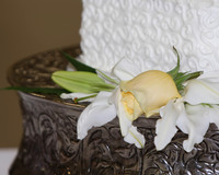Jared & Megan Reception